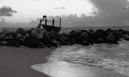 Innovation & Technology