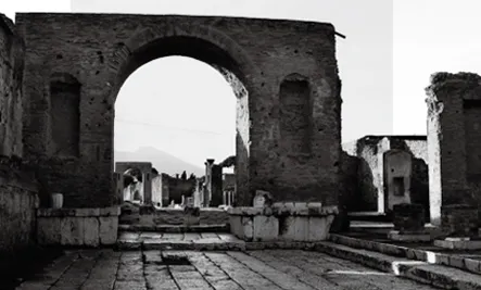 Innovation & Technology