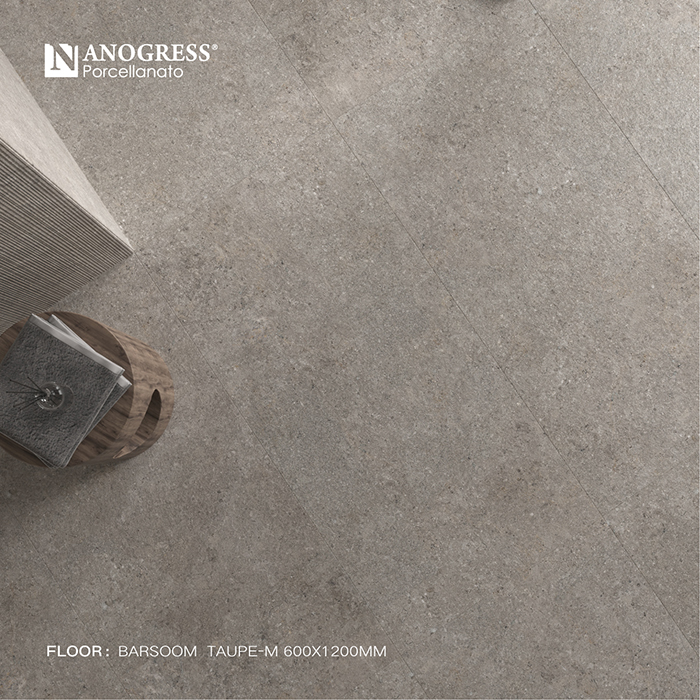 BARSOOM TAUPE-M 612-02